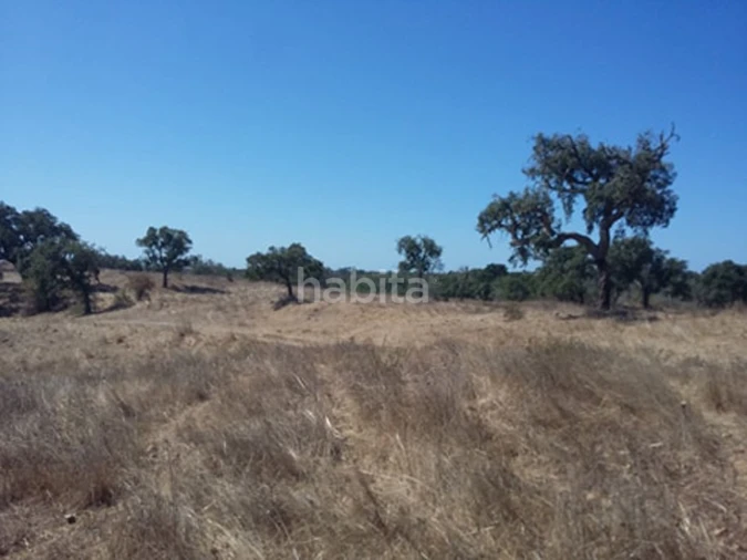 Quinta T2 para Venda em São Francisco da Serra Foto 11