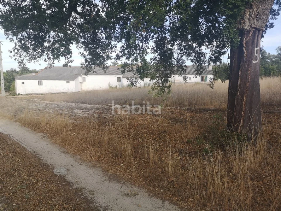 Quinta T3 para Venda em Melides Foto 3