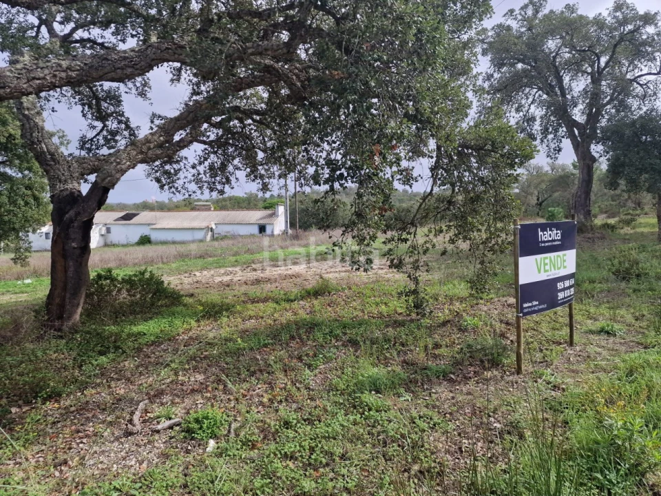 Quinta T3 para Venda em Melides Foto 6