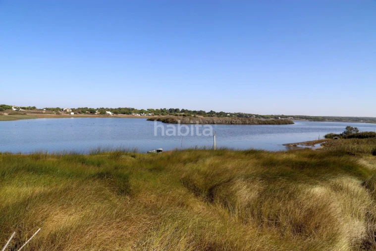 Quinta T3 para Venda em Melides Foto 16
