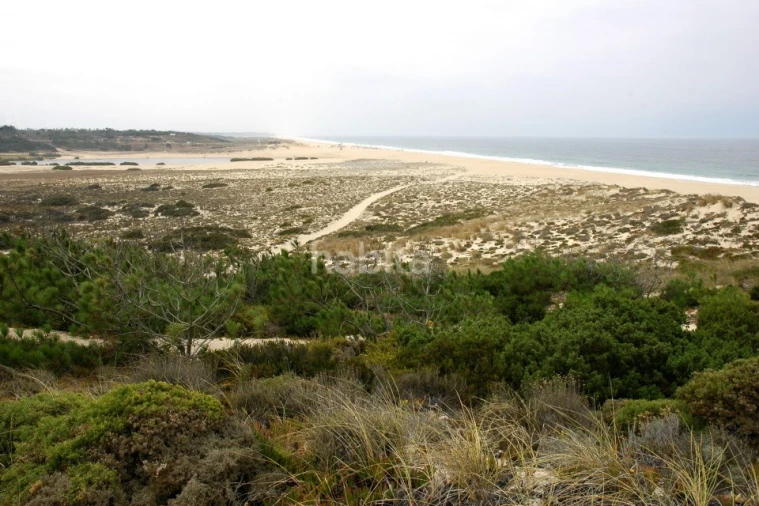 Quinta T3 para Venda em Melides Foto 21