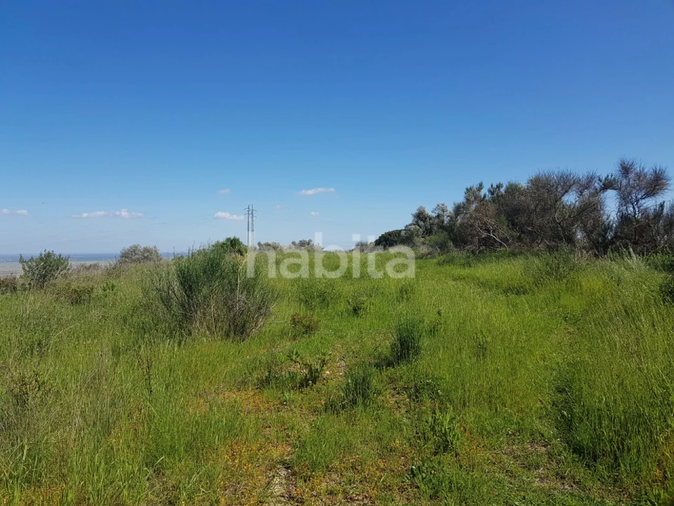 Terreno para Venda em Vila Franca de Xira Foto 24