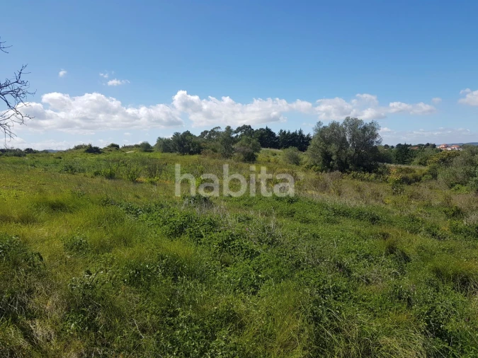 Terreno para Venda em Vila Franca de Xira Foto 16