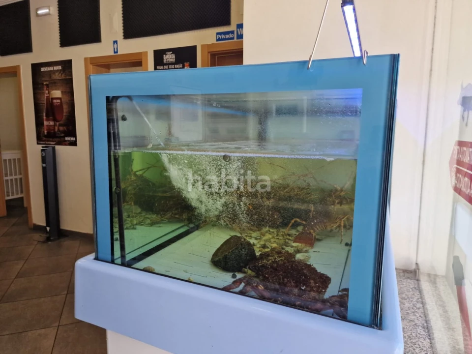 Negócio para Venda em Sines Foto 9