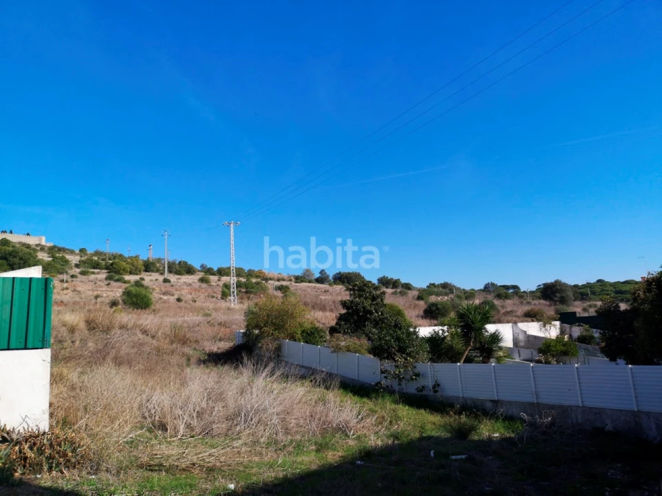 Terreno para Venda em Santiago do Cacém, Santa Cruz e São Bartolomeu da Serra Foto 6