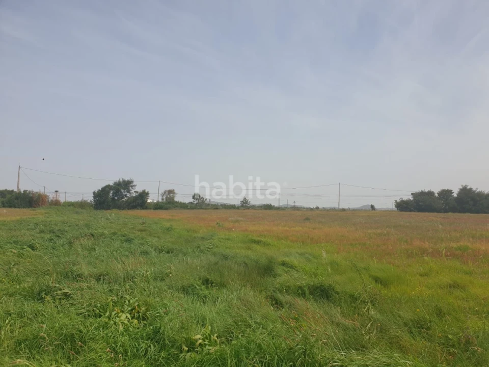 Terreno para Arrendamento em Longueira/Almograve Foto 1