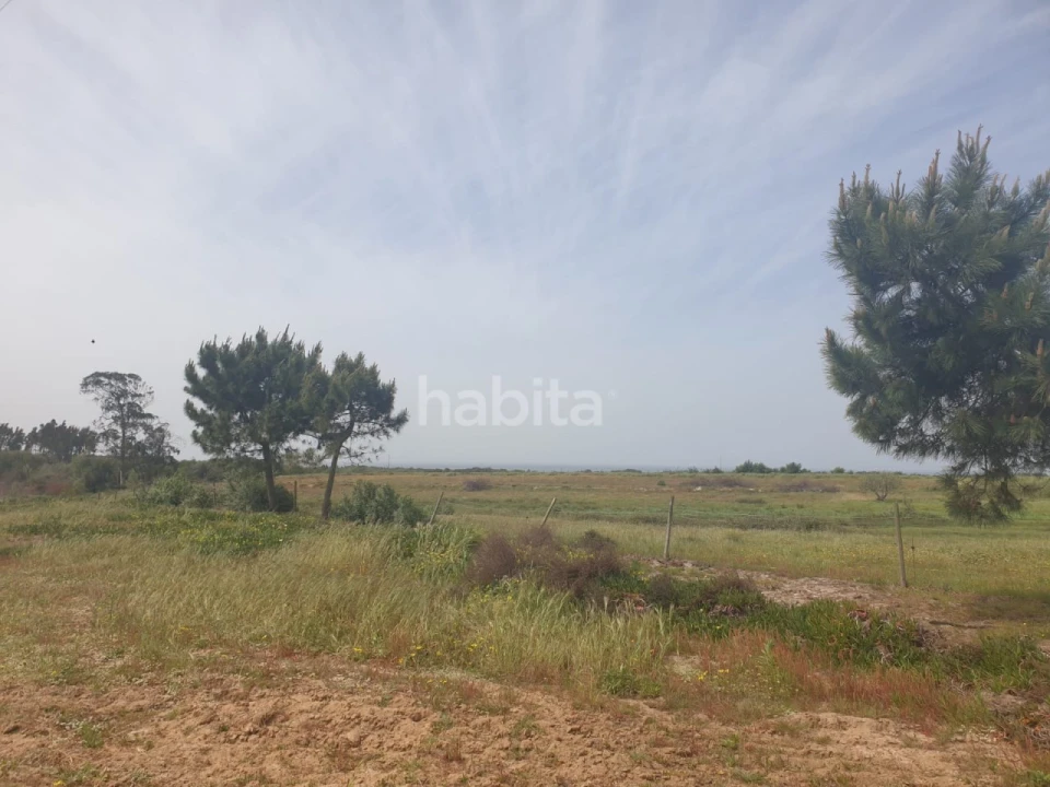 Terreno para Arrendamento em Longueira/Almograve Foto 3