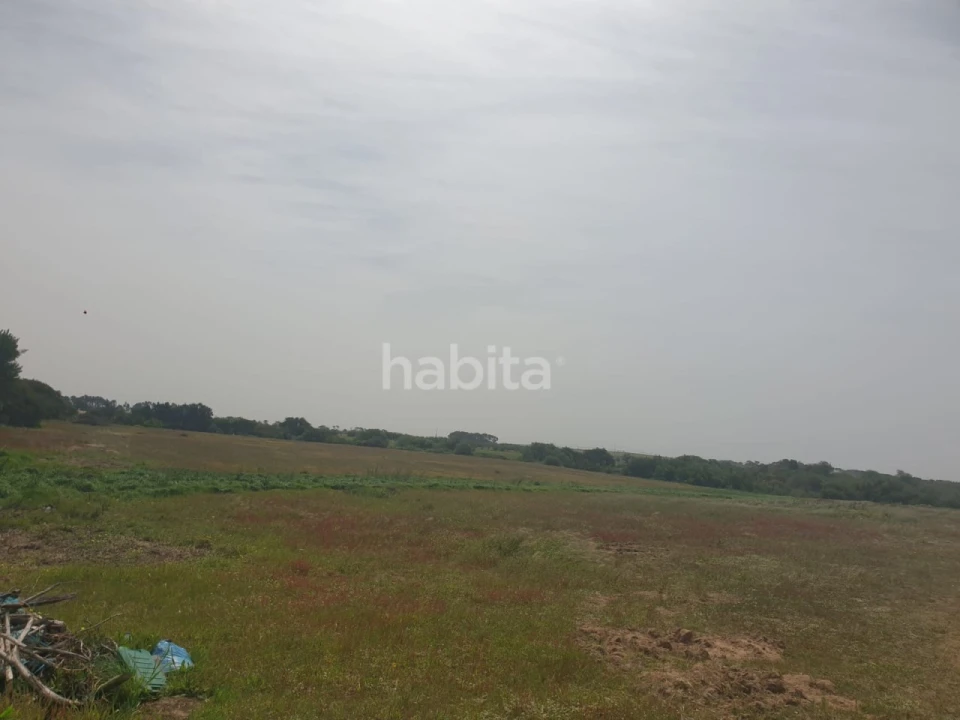 Terreno para Arrendamento em Longueira/Almograve Foto 11