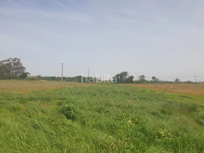 Terreno para Arrendamento em Longueira/Almograve Foto 5
