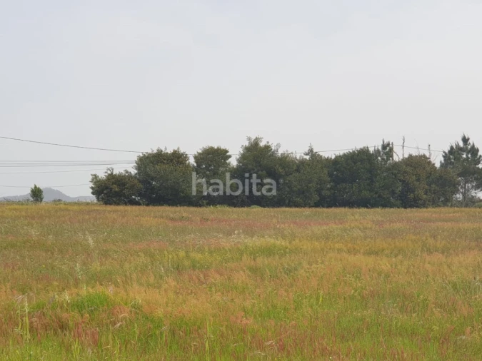 Terreno para Arrendamento em Longueira/Almograve Foto 8