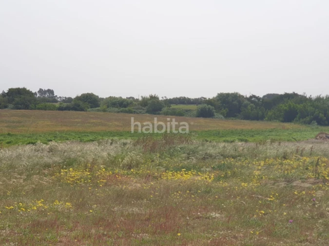 Terreno para Arrendamento em Longueira/Almograve Foto 9