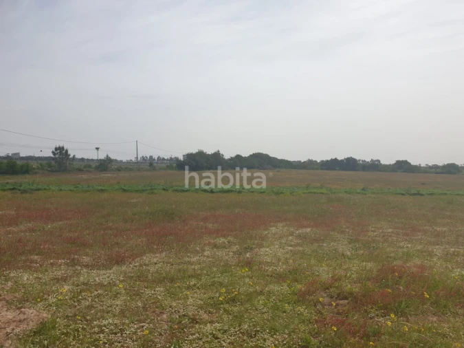 Terreno para Arrendamento em Longueira/Almograve Foto 12