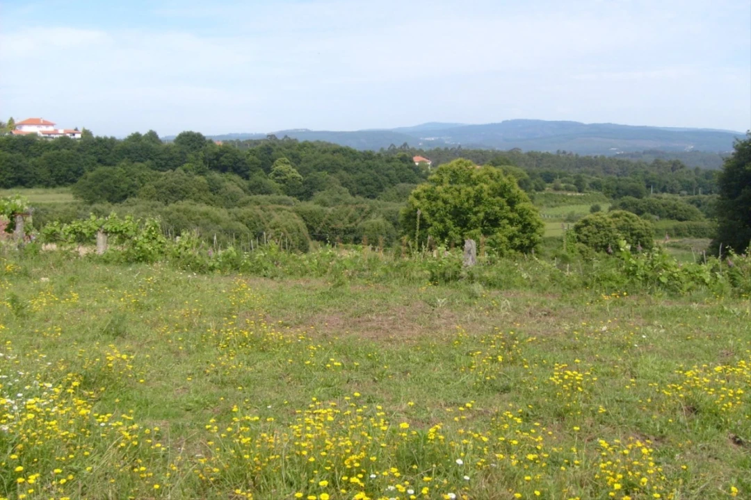 Terreno para Venda em Mentrestido Foto 1