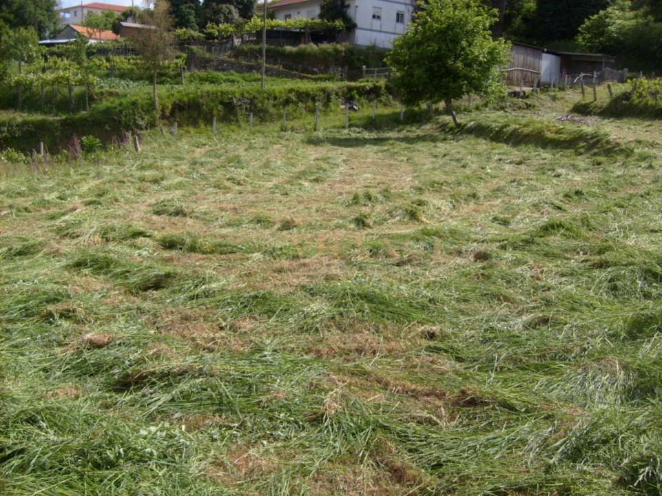 Terreno para Venda em Mentrestido Foto 2