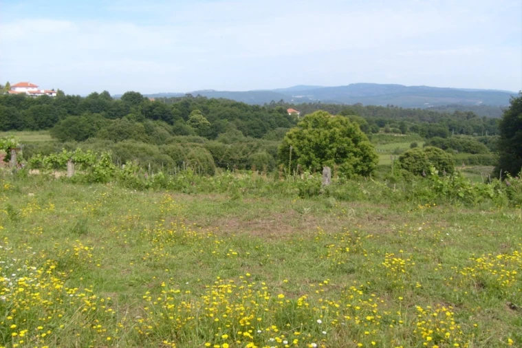 Terreno para Venda em Mentrestido Foto 1