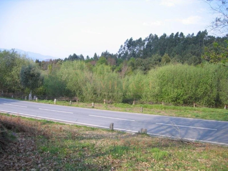 Terreno para Venda em Candemil e Gondar Foto 4