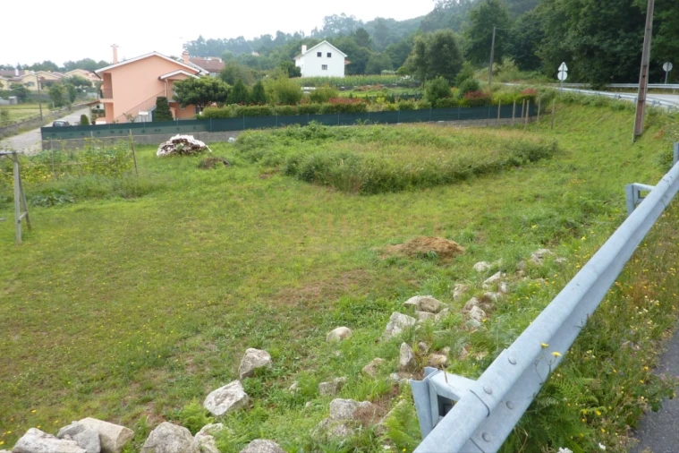 Terreno para Venda em Reboreda e Nogueira Foto 2