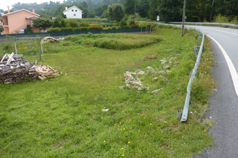 Terreno para Venda em Reboreda e Nogueira Foto 3