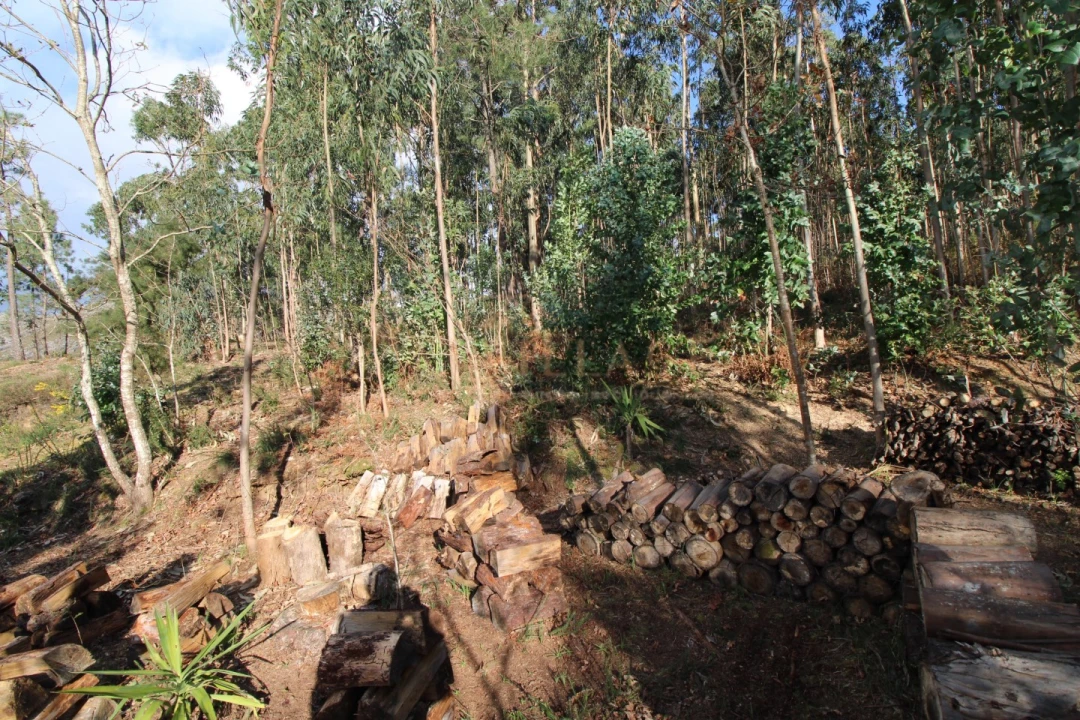 Terreno para Venda em Loivo Foto 2