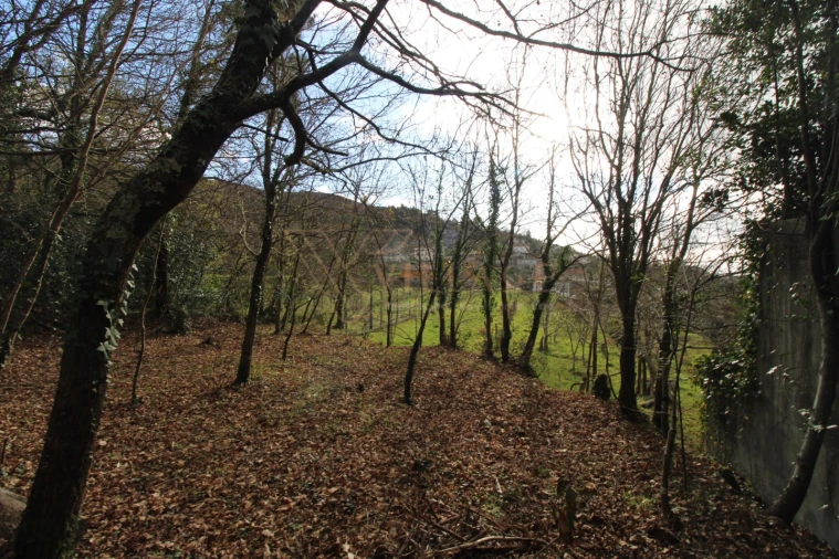 Terreno para Venda em Loivo Foto 5