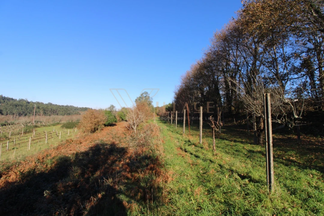 Terreno para Venda em Cornes Foto 6