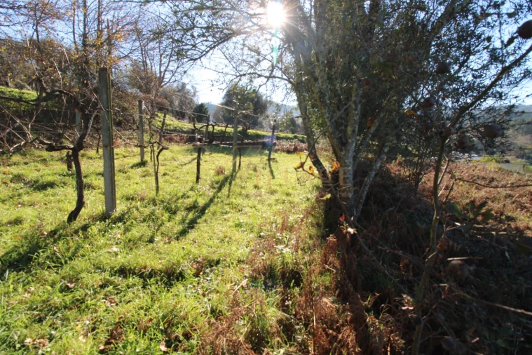 Terreno para Venda em Cornes Foto 9