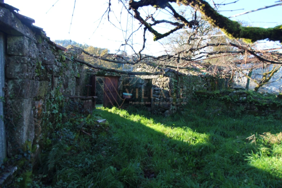 Moradia T1 para Venda em Mentrestido Foto 6