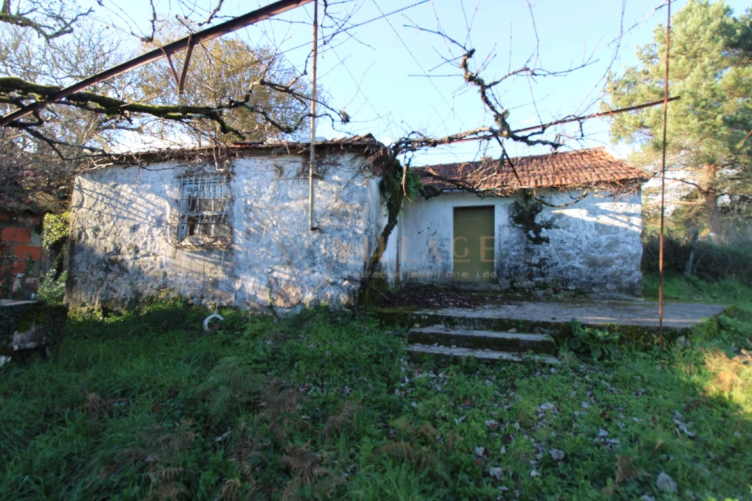 Moradia T1 para Venda em Mentrestido Foto 1