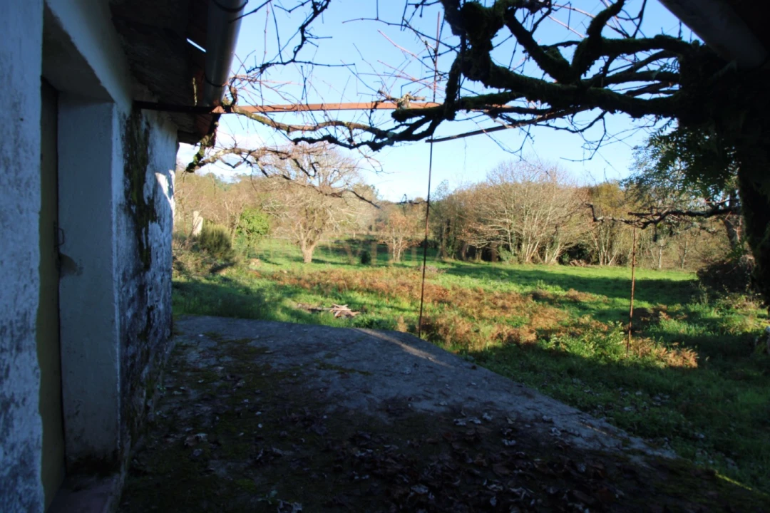 Moradia T1 para Venda em Mentrestido Foto 14