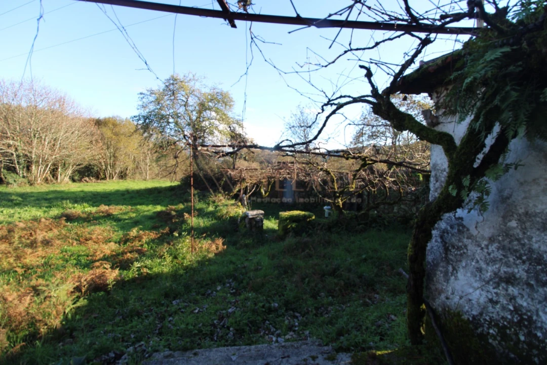 Moradia T1 para Venda em Mentrestido Foto 15