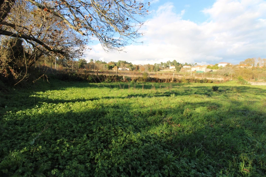 Moradia T1 para Venda em Mentrestido Foto 19