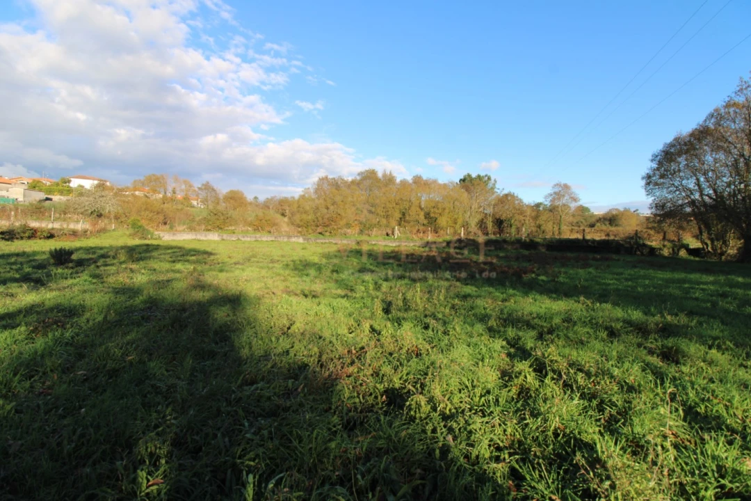 Moradia T1 para Venda em Mentrestido Foto 21