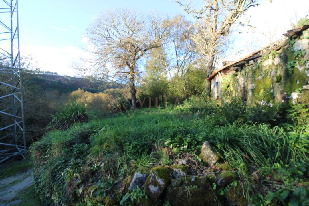 Moradia T1 para Venda em Mentrestido Foto 26