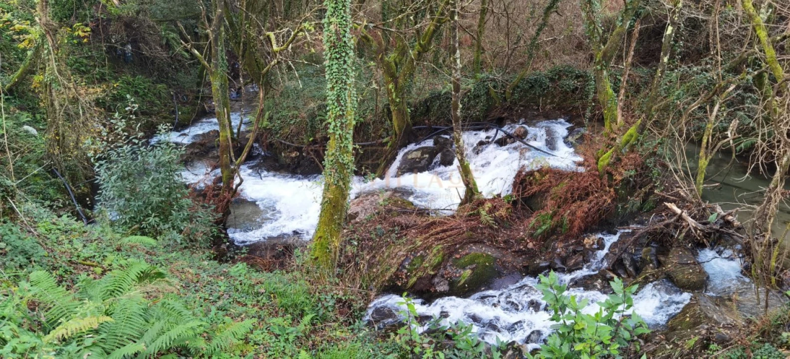 Moradia T1 para Venda em Mentrestido Foto 28