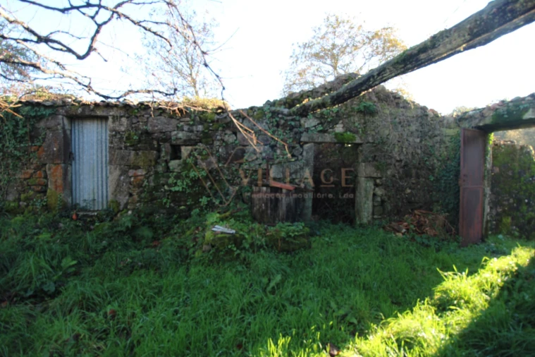 Moradia T1 para Venda em Mentrestido Foto 3