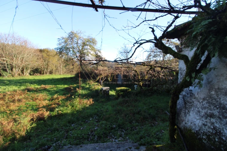 Moradia T1 para Venda em Mentrestido Foto 15