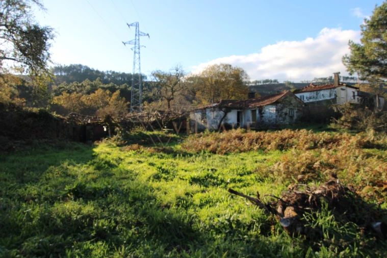 Moradia T1 para Venda em Mentrestido Foto 17