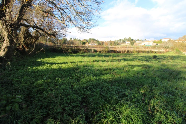 Moradia T1 para Venda em Mentrestido Foto 18