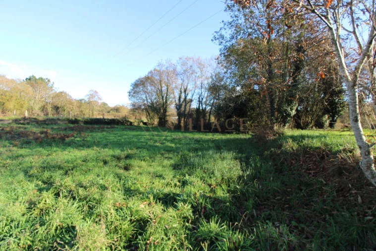 Moradia T1 para Venda em Mentrestido Foto 20