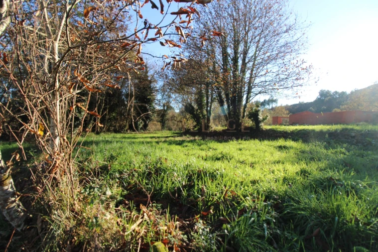 Moradia T1 para Venda em Mentrestido Foto 24