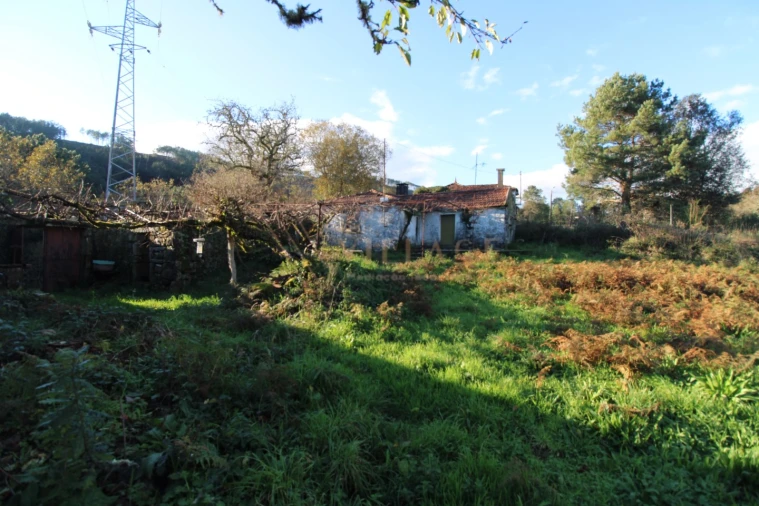 Moradia T1 para Venda em Mentrestido Foto 25