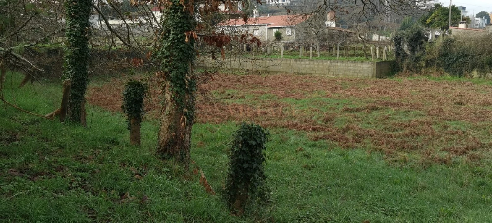 Moradia T2 para Venda em Gondarem Foto 9