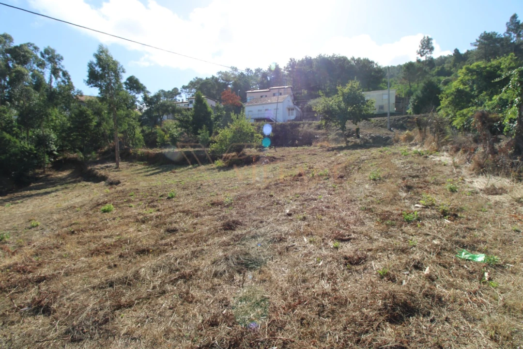 Terreno para Venda em Gondarem Foto 6