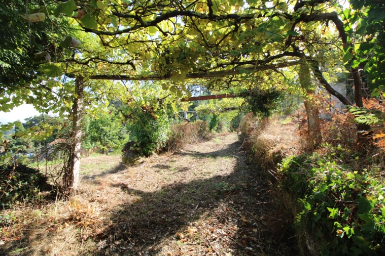 Terreno para Venda em Gondarem Foto 5