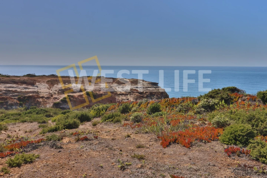 Terreno Agricola ou Rústico para Venda em São Pedro da Cadeira Foto 3