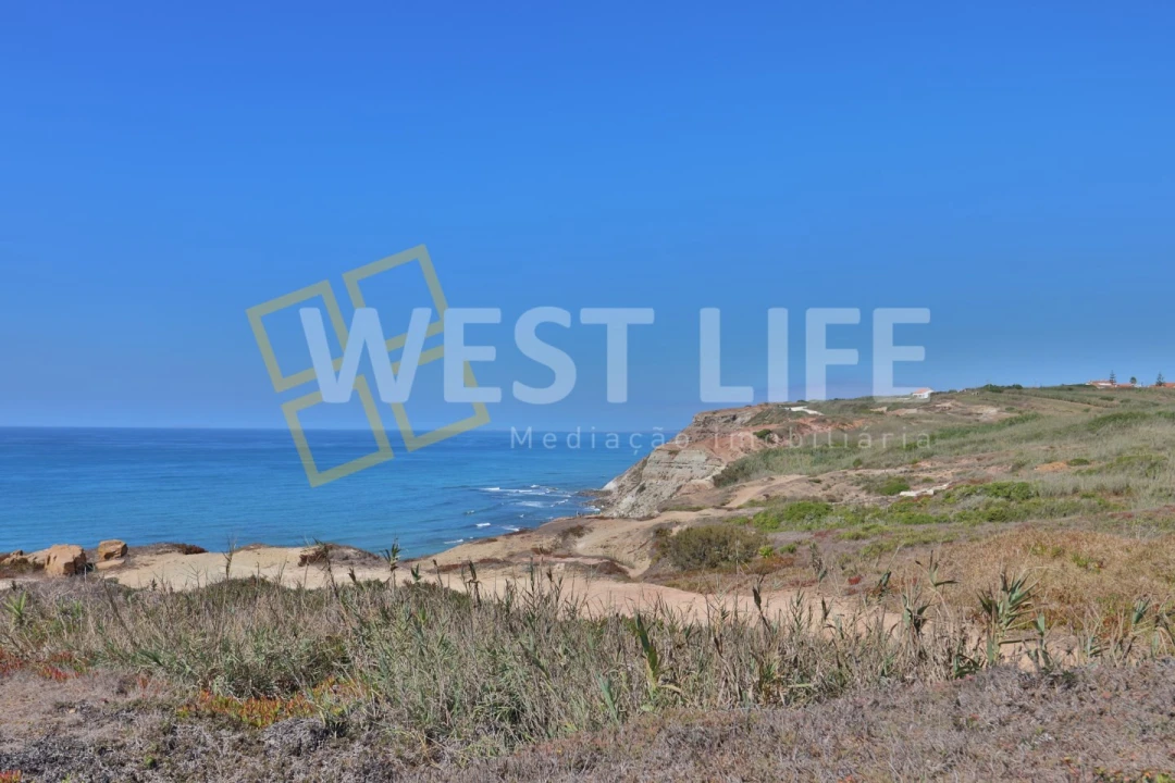 Terreno Agricola ou Rústico para Venda em São Pedro da Cadeira Foto 5