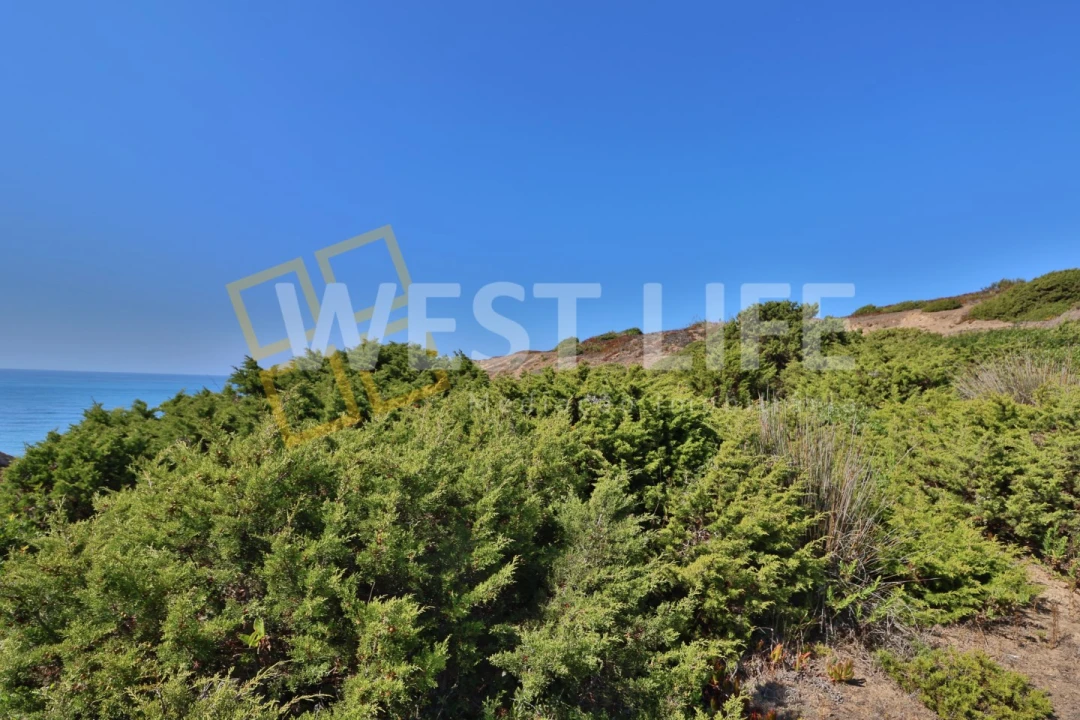 Terreno Agricola ou Rústico para Venda em São Pedro da Cadeira Foto 11