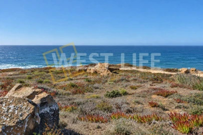 Terreno Agricola ou Rústico para Venda em São Pedro da Cadeira