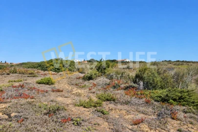 Terreno Agricola ou Rústico para Venda em São Pedro da Cadeira