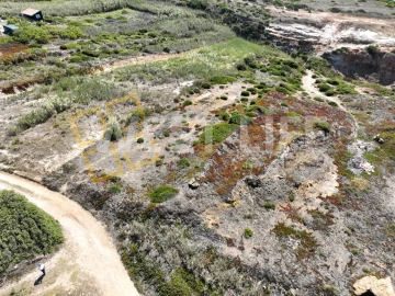Terreno Agricola ou Rústico para Venda em São Pedro da Cadeira